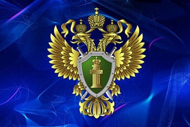 12 января – День работника прокуратуры РФ